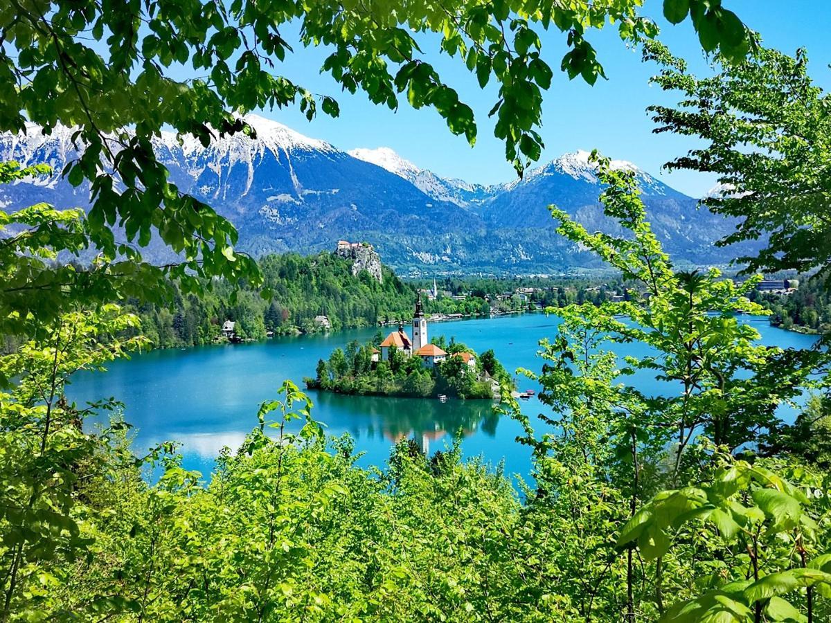 Ribno Alpine Hotel Bled Kültér fotó